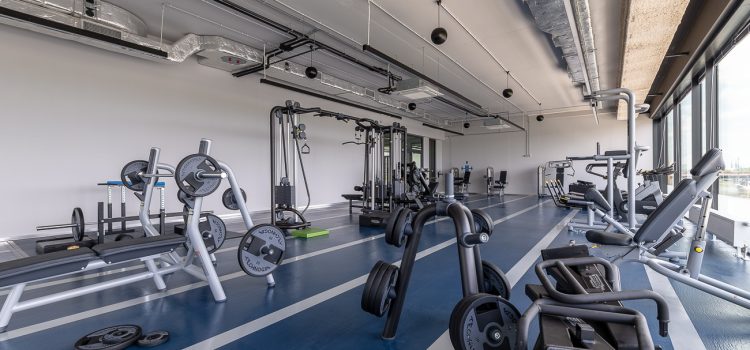 fot-Maciej-Krüger180721_MKX7404-HDR